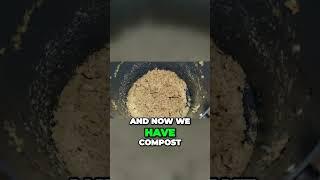 Transforming Food Waste into Nutrient-Rich Compost for a Greener World