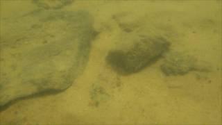 Snorkelling the Gorgulho da Rita, Xingu River, Para State, Brazil