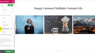 Image Carousel Multiple Custom Urls​ Elementor Tutorial | Piotnet Addons For Elementor PAFE