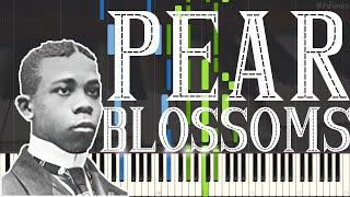 Scott Hayden [Scott Joplin Apprentice] - Pear Blossoms 1898 (Ragtime Piano Synthesia)