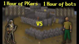 The easiest bots to kill in OSRS