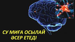 Судың Пайдасы Бәрін Таң Қалдырды, Миға пайдасы білмейтін Адамдар көп, Керек арнасы, Су пайдасы