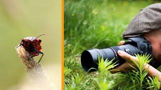 MACRO PHOTOGRAPHIE (Sigma 105mm f/2.8 Macro CANON)