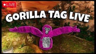 GORILLA TAG LIVE + FAN LOBBIES