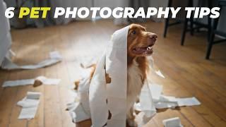 6 Pro Pet Photography Tips | Adam Goldberg