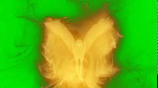 Amazing Golden Particles Eagle Animation (green screen)