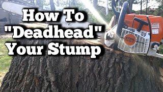 How To cut down a  Stump without damaging your chainsaw (chainsaw tips)