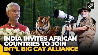 India invites African countries to join the International Big Cat Alliance