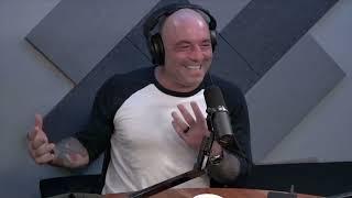 JOE ROGAN & ARTIE LANGE experience the MITCH HEDBERG AWAKENING  FROZEN BANANA JOKE Comedy