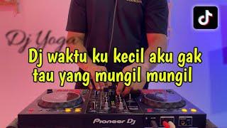 Dj waktu ku kecil aku gak tau yang mungil mungil - Dj viral 2025