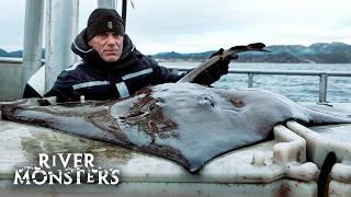 The BIGGEST FISH caught in Season 5 of River Monsters | River Monsters