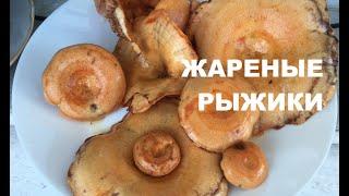 Жареные рыжики: очень просто и очень вкусно!