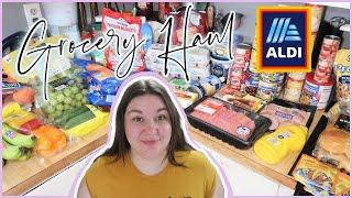 UNDER BUDGET, STARTING TO BUY FOR THANKSGIVING | Grocery Haul & Meal Plan | ALDI HAUL | NOV 2024