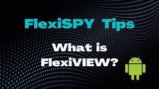 What is FlexiVIEW?