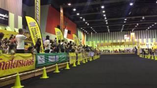 STRIDER CUP ASIAN CHAMPIONSHIP 2017_Final race_Open class , ストライダーカップ アジアチャンピオンシップ 決勝 オープンクラス