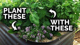 Why Companion Planting Works (The Science Behind The Magic)