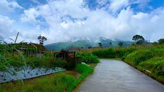 DESA YANG INDAH DAMAI DI TENGAH KEBUN SAYUR LERENG MERBABU, DUSUN MARON, BANYUROTO, MAGELANG