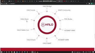 HALO Network: A brief overview and how to add it to metamask