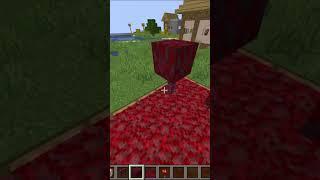 Minecraft Mini Crimson Biome!  #minecraft #minecraftshorts #shorts