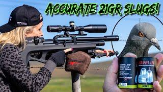 21GR | 22 CAL | Pigeon Hunting | FX Wildcat MKIII Compact | FX Impact M3 | Airgun Pest Control