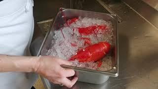 SCTC/CATC Lobster Demo (COVID EDITION)