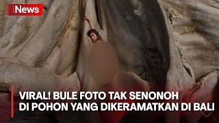 Viral! Bule Foto Tak Senonoh di Pohon Keramat di Bali