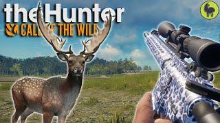 Diamond Fallow Deer Hunt!  | theHunter: Call of the Wild