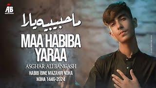 Pashto Noha 2024 | Maa Habiba Yaraa | Asghar Ali Bangash | 2024 - 1446 | Habib ibn e Mazahir Noha
