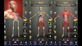 Idle Human - Gameplay - Android , iOS / Simulation / Mobile game by Green Panda Games