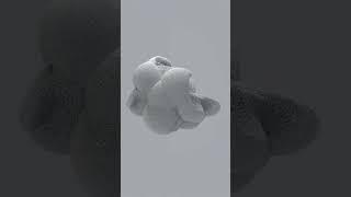 First houdini render