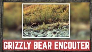 SCARY GRIZZLY BEAR ENCOUNTER | BILLY RIOUX ADVENTURER