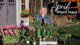 Plant Shop With Me. April Plant Haul: Adding Wish List Plants to the Garden 