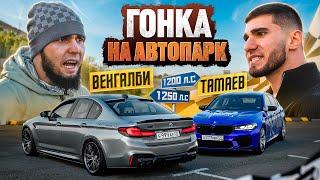 ГОНКА ВЕНГАЛБИ vs ТАМАЕВ! Кто заберет АВТОПАРК?!