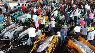 Taiwan's biggest Bluefin Tuna festival, from Bluefin Tuna auction to cutting | Taiwanese Food