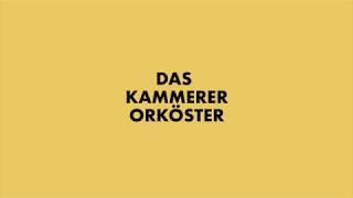 Kammerer OrKöster "Senf" trailer