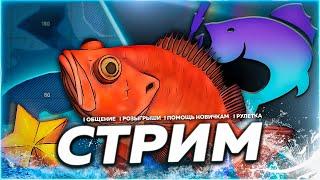 ️ ПАДАЛ СНЕГ ️ МОРЕ + НОВОГОДНИЙ ЛАЙТ УСАЧ ТУРНИР  Рулетка & Розыгрыши  СТРИМ Русская Рыбалка 4