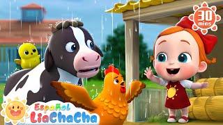 Lluvia Vete Ya (Versión Animales de Granja) | LiaChaCha en Español - Canciones Infantiles