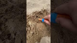 Нужны ДЕНЬГИ ??? Иди Копай!!! ) #metaldetecting #shorts #shortvideo #money #деньги #коп #хобби #coin