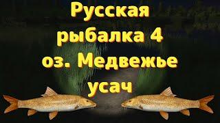 Русская рыбалка 4 • оз. Медвежье Усач • рр4 от ЧокопайТВ