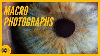 Stunning Close-Up Photos Of Everyday Objects| Everyday Objects In Macro