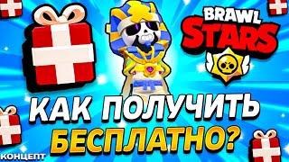 КАК ПОЛУЧИТЬ СКИН ФАРАОЛЛИ БЕСПЛАТНО - РОЗЫГРЫШ ФАРАОНА ОЛЛИ - Подарки Обнова Brawl Stars (концепт)