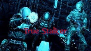 True Stalker  Полтергейст !