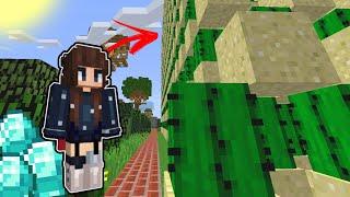 Como Construir A Melhor Farm Do Minecraft? (até mulheres conseguem)