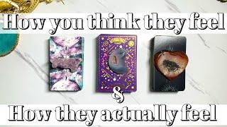 How You Think They FeelVS How They Actually Feelpick a card love tarot reading