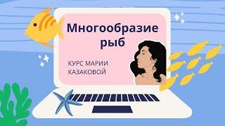 Урок ''Многообразие рыб'' — ЦТ, ЕГЭ, ЗНО.