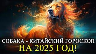 СОБАКА - 2025 ГОД! КИТАЙСКИЙ ГОРОСКОП! ЛЮБОВЬ/ФИНАНСЫ/ЗДОРОВЬЕ/РЕКОМЕНДАЦИИ