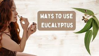 7 Eucalyptus Essential Oil Benefits for the Body