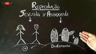 Reprodução SEXUADA e ASSEXUADA - Fecundação INTERNA e EXTERNA