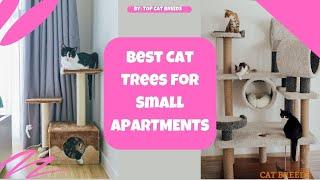 Best Cat Trees for Small Apartments! | Top Cat Breeds