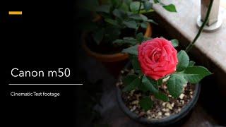 Canon M50 Cinematic Test footage